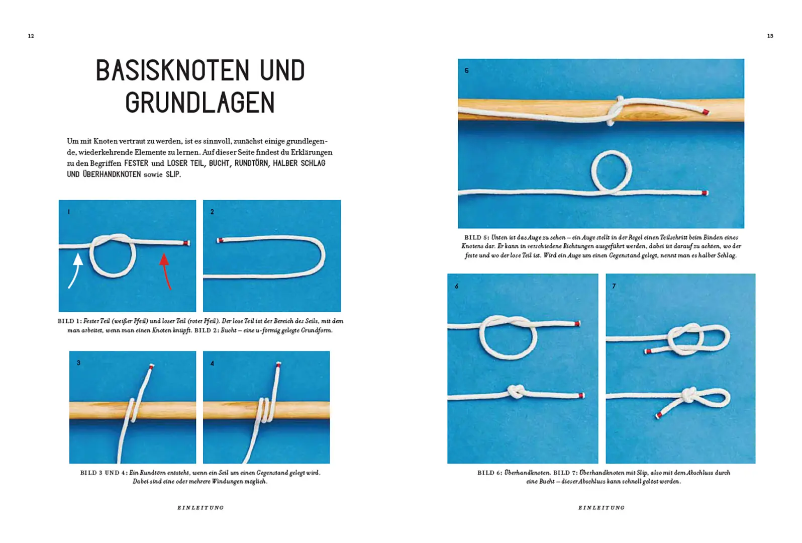 Beispielinhalt (Bild) Knoten