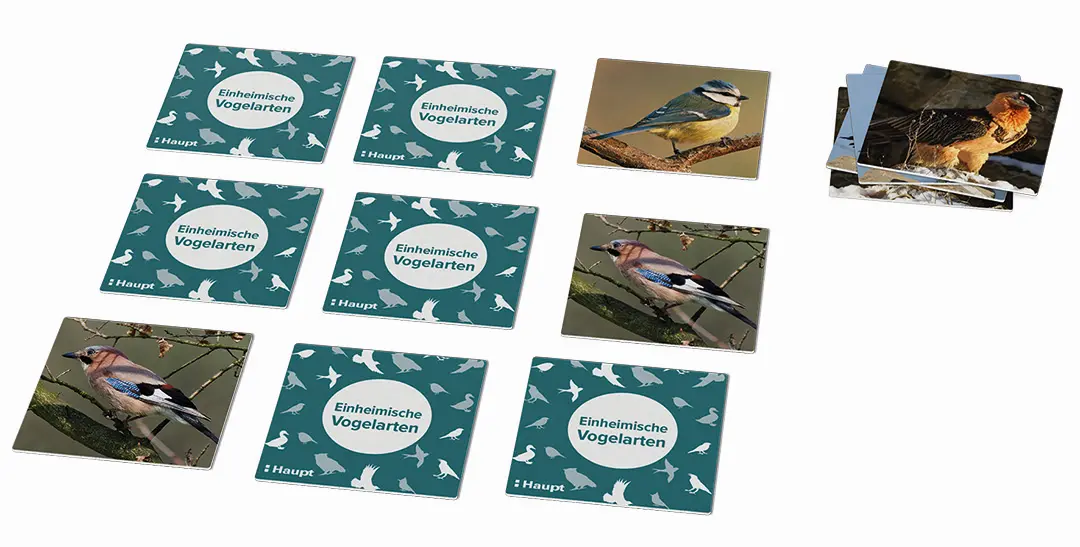 Beispielinhalt (Bild) Einheimische Vogelarten – das Memo-Spiel
