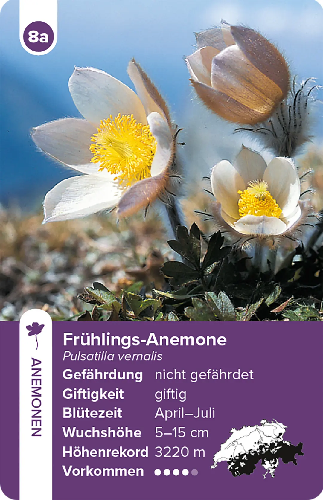 Beispielinhalt (Bild) Flora Helvetica – das Quartett-Spiel