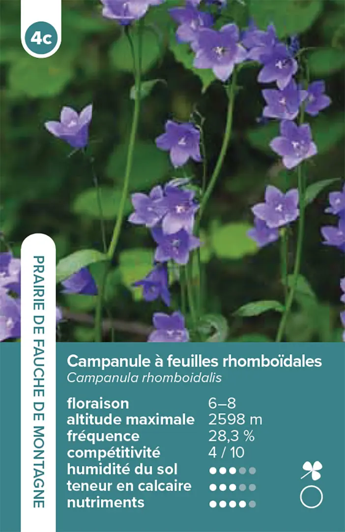 Beispielinhalt (Bild) Habitats pelouses et prairies – le jeu du quatuor