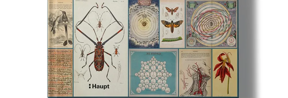 «Bücher, die die Welt veränderten» als Wissensbuch des Jahres nominiert!