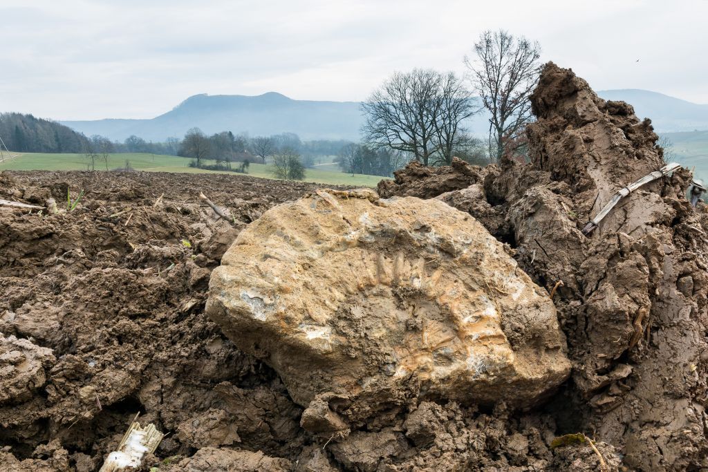 Geologische Wanderung -Versteinerte Erdgeschichte in Schaffhausen