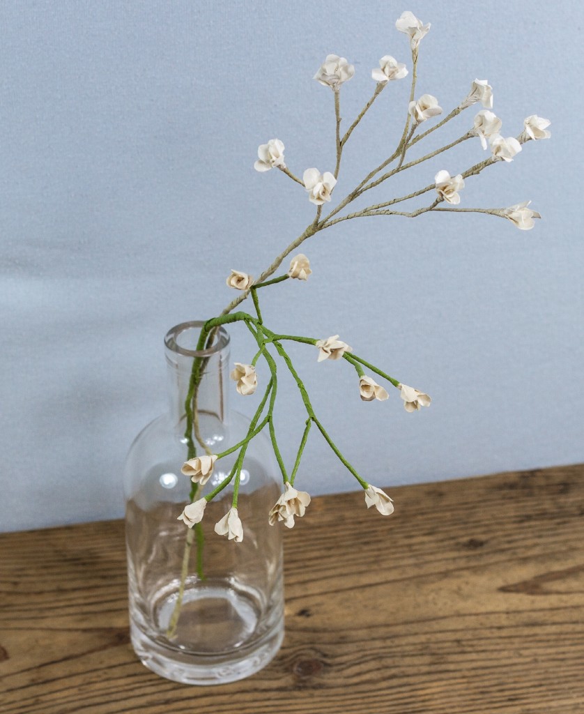 «PAPIER-Blumen» - Anleitung zum Schleierkraut