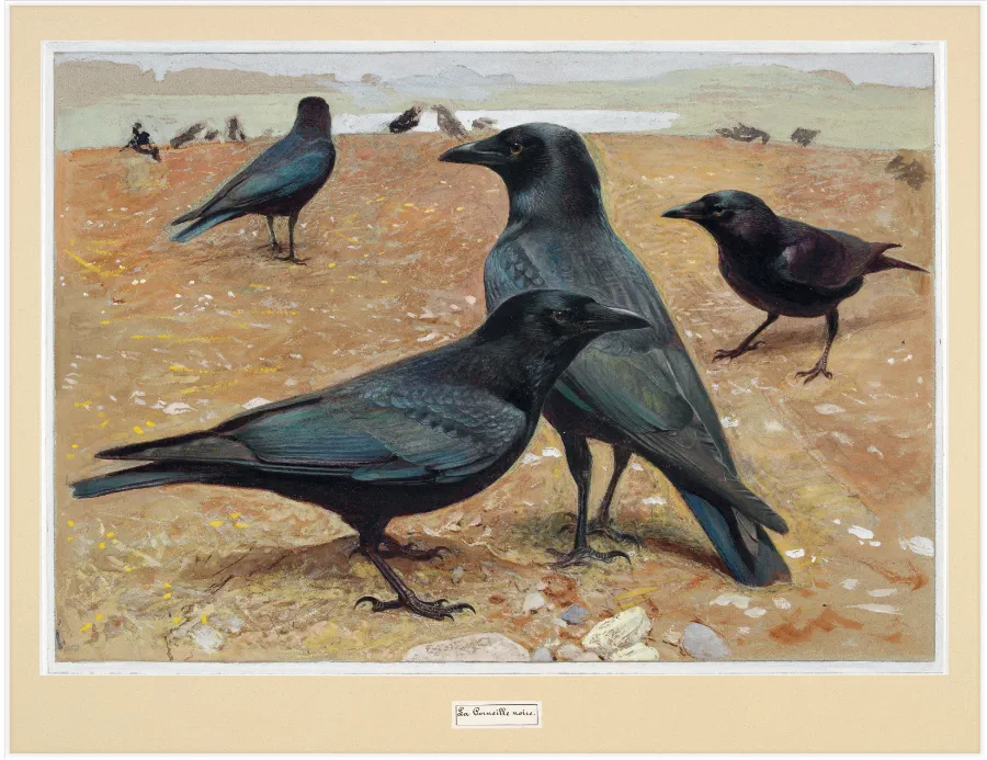 HauptAutoren Thomas Griesohn-Pflieger und Iris Lichtenberg: Federkleid & Flügelschlag