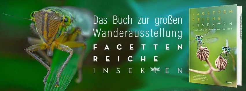 20220706_Husemann_Insekten_08289_Facebook