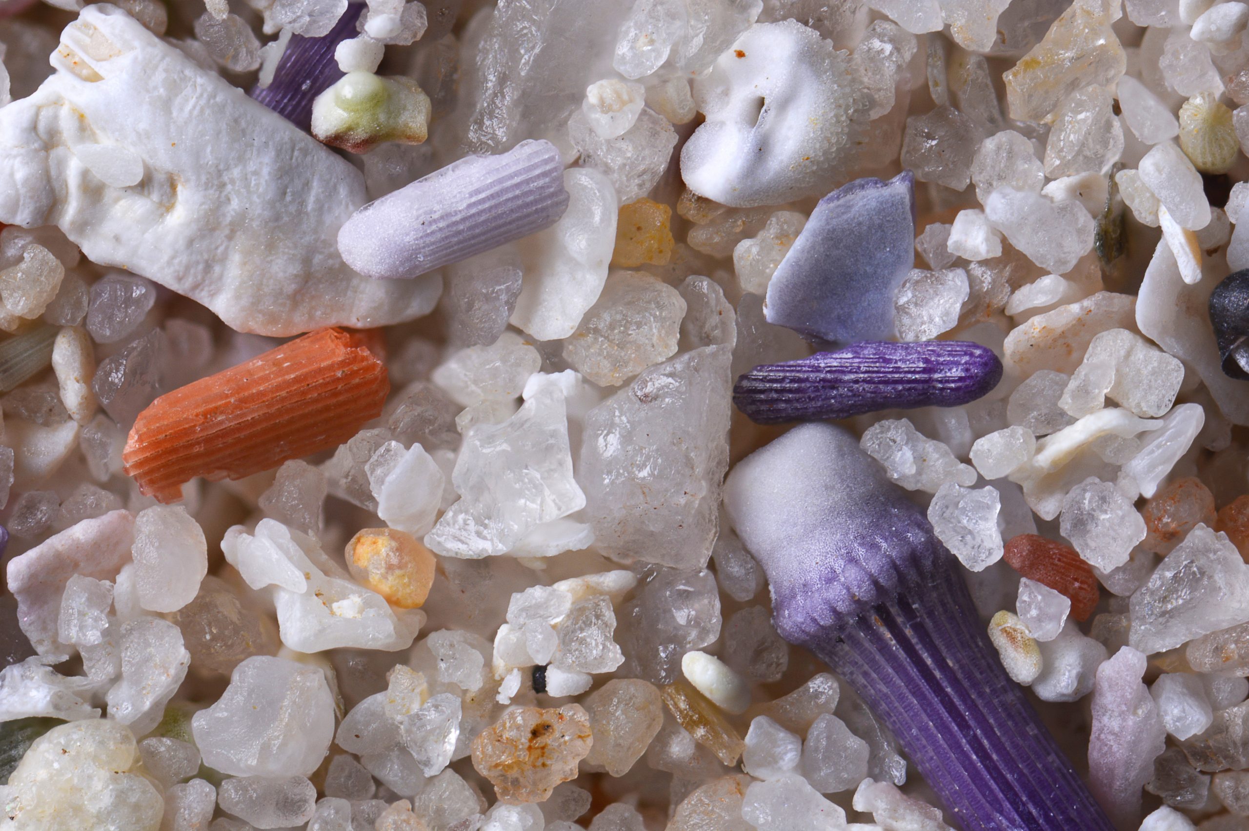 HauptAutor Oliver Lenzen: Das große Buch vom Sand