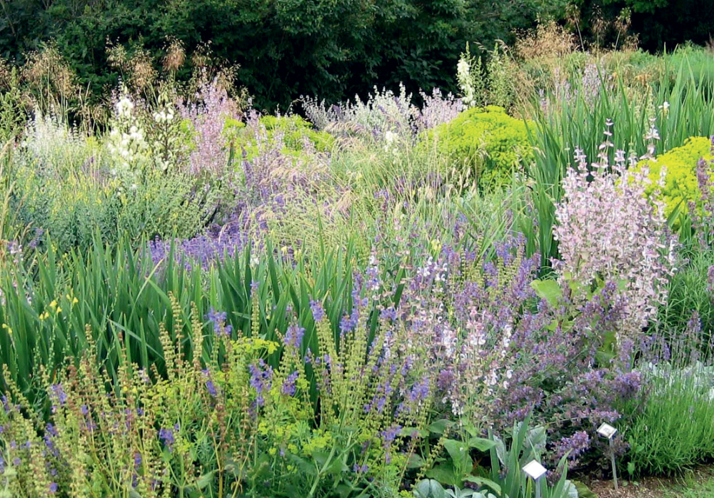 HauptAutorin Sonja Schwingesbauer: Natürlich schön und wild umschwärmt