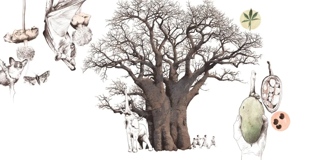 20231220_012-013_Vlcek_Afrika_cKatharina-Vlcek_D-Glinde