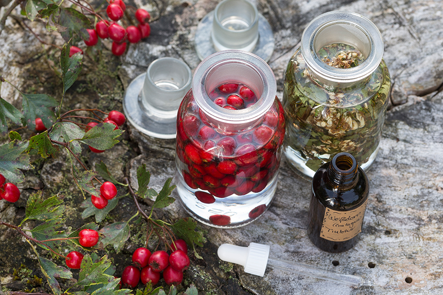 HauptAutoren: Katrin und Frank Hecker