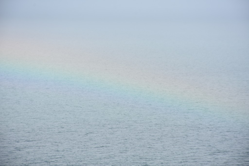 Die Welt als «Bibliothek der Farben»