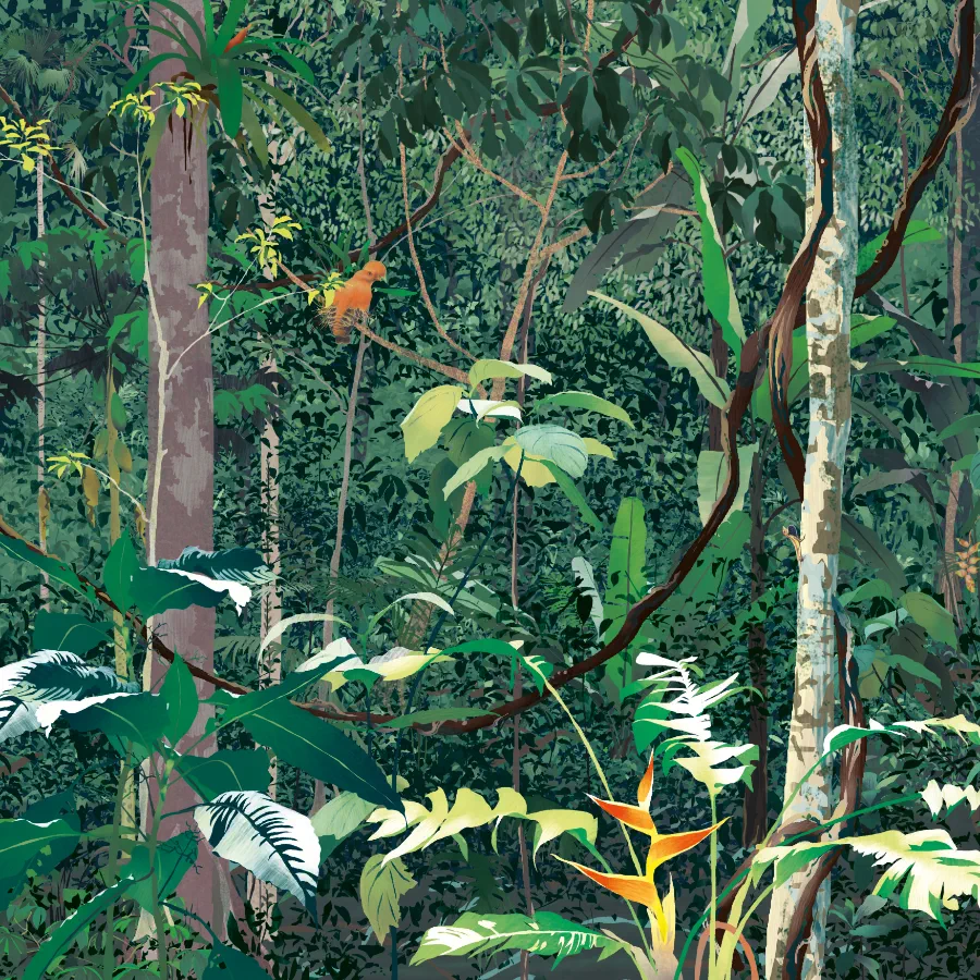 HauptAutorin Katharina Vlcek: Amazonien