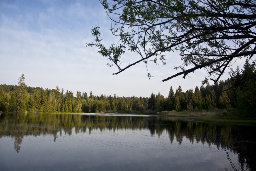 Sommerzeit ist Wanderzeit! 8 Routen durch Natur- und Kulturlandschaften der Schweiz