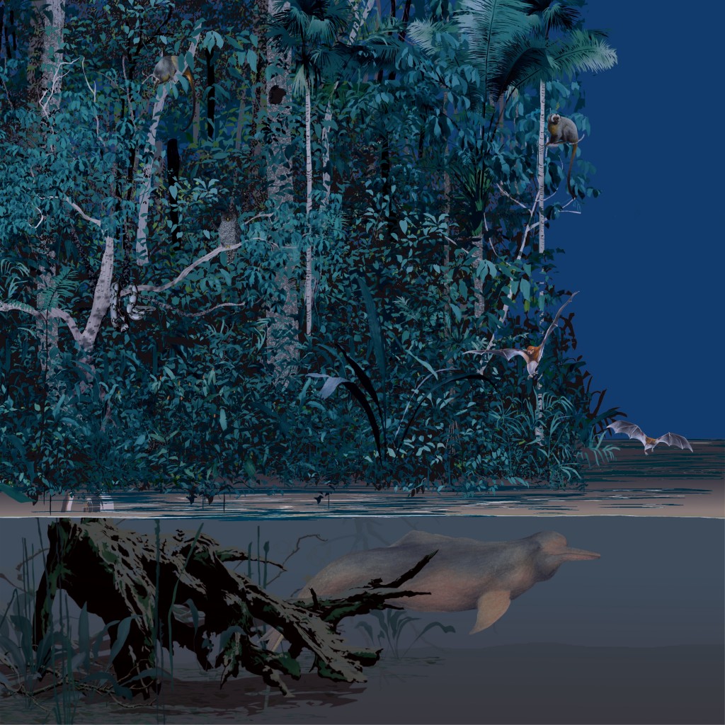 Eine Reise nach Amazonien