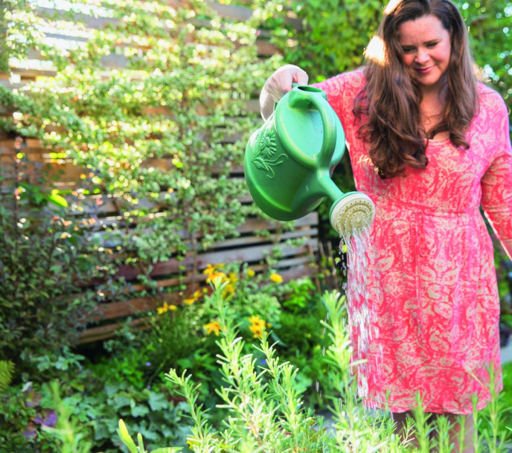 Garten-Alchemie: Rezept für ein natürliches Pflanzenschutzmittel