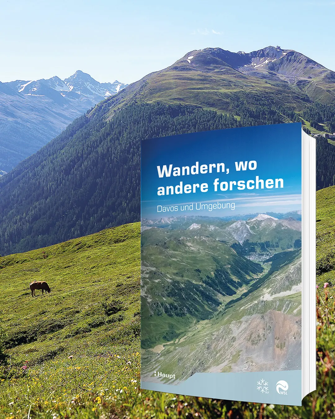 Huovinen_Davos_08405_Instagram