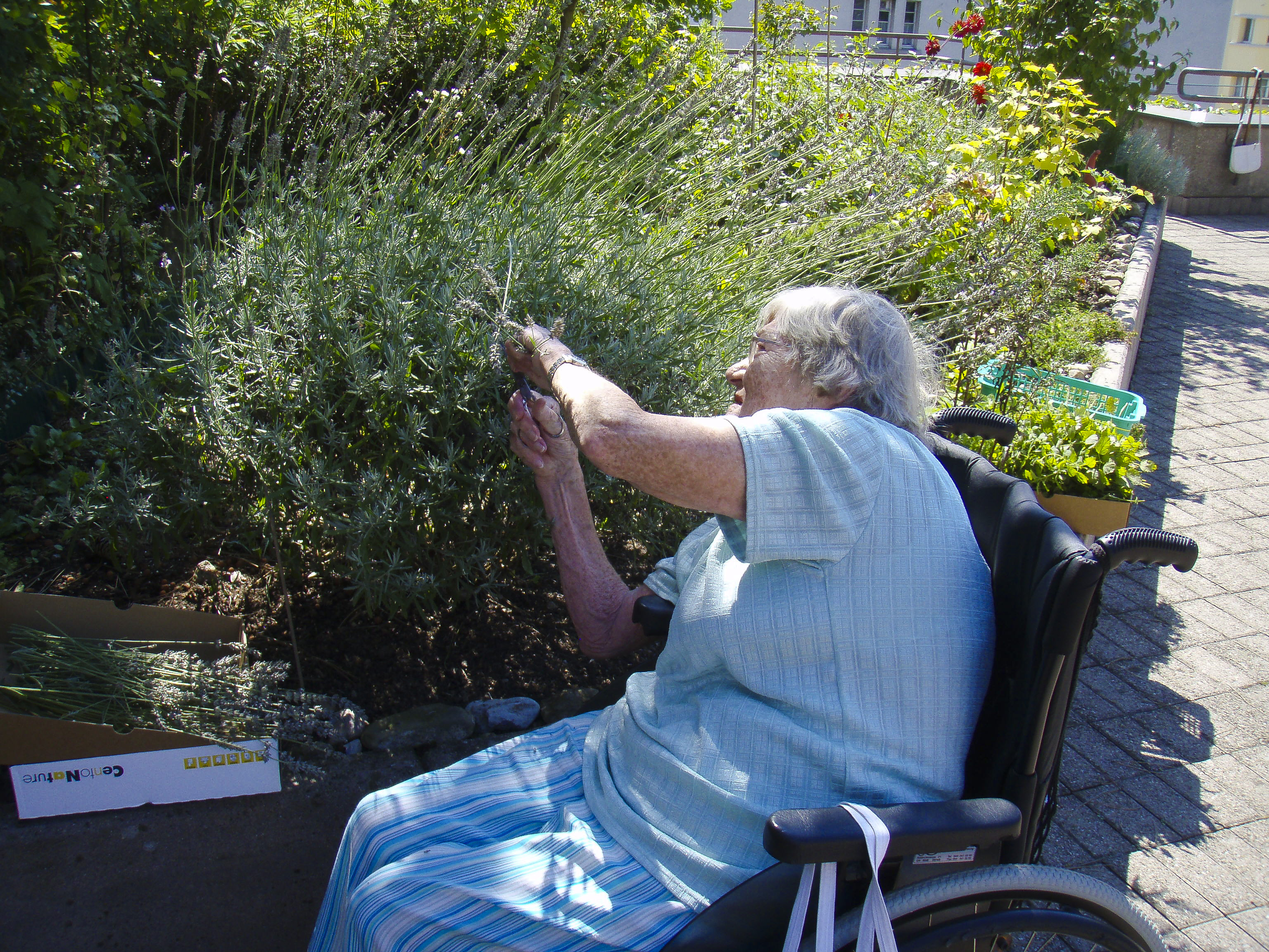 Praxisbuch Gartenagogik: Menschen mit Natur begleiten