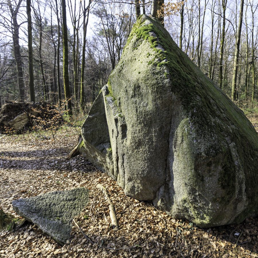 Eiszeit-Wanderung:  Großes Erratikerfeld bei der Verenaschlucht (SO)