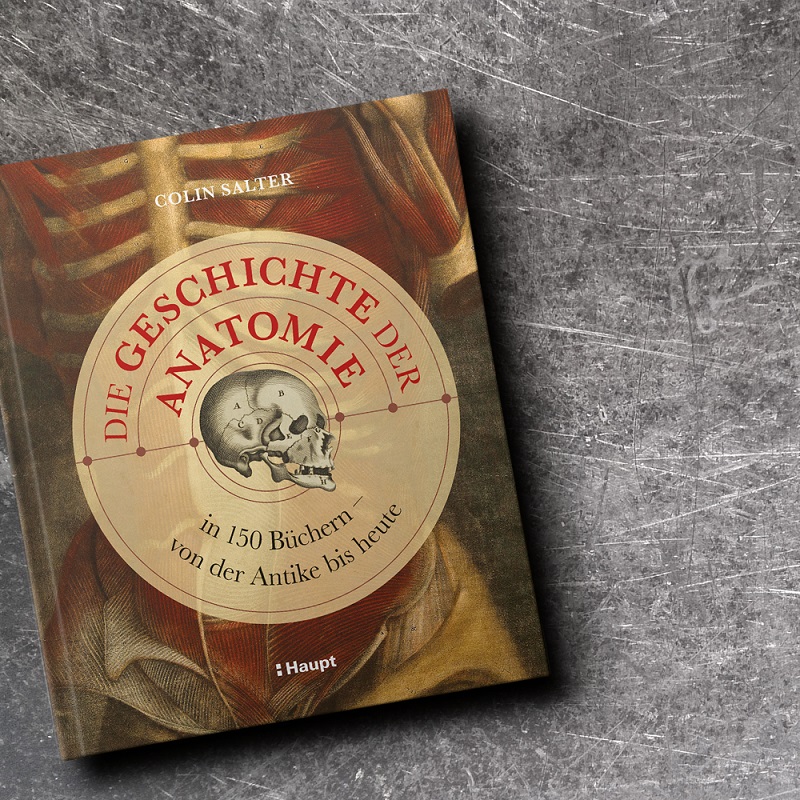Die Geschichte der Anatomie: ausgewählte Erkenntnisse und Entdeckungen