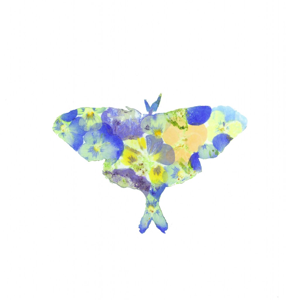 Malwerkstatt Natur für Kinder: Gehämmerter Pflanzendruck